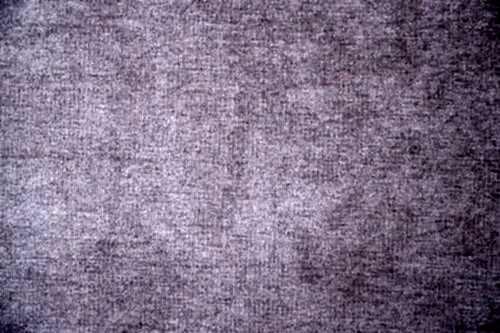 Lavanda