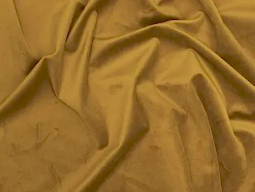 riviera 41 mustard