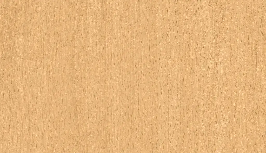 Бук Эльмау H1582 ST15